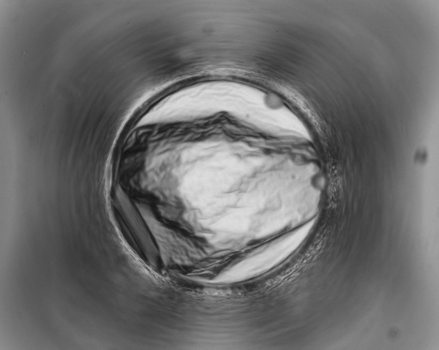 X0000098201032200805151223