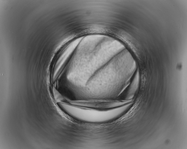 X0000098201034200805151223