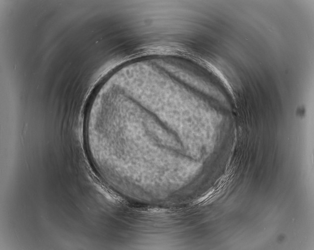 X0000098201035200805151223