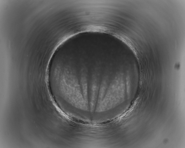 X0000098201037200805151224