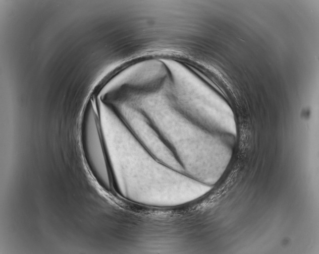 X0000098201038200805151224