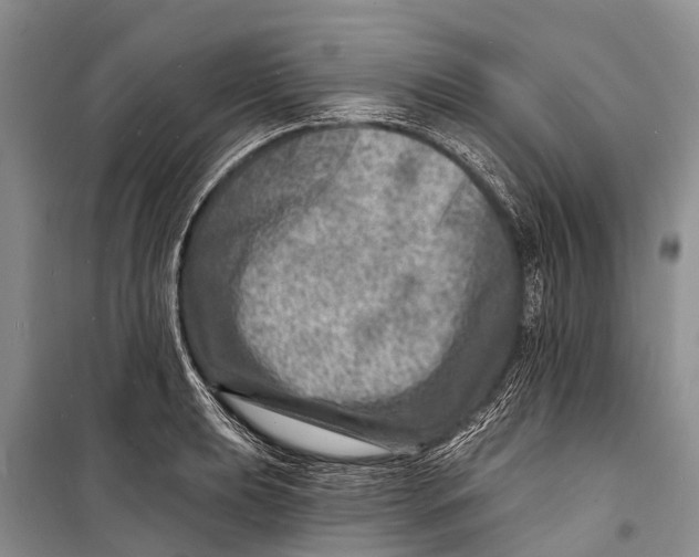 X0000098201039200805151224