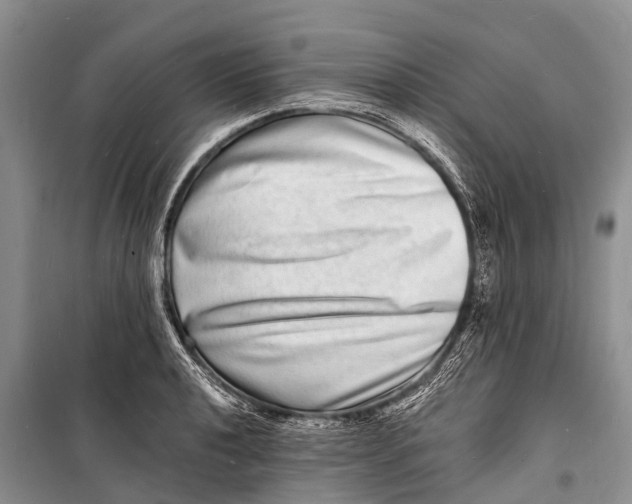 X0000098201040200805151224
