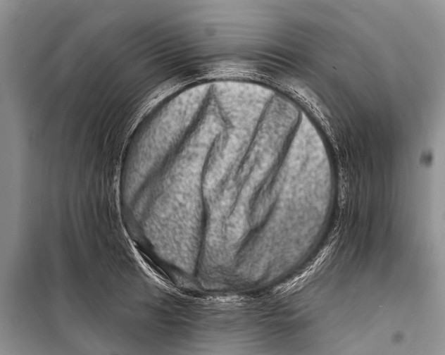 X0000098201041200805151224