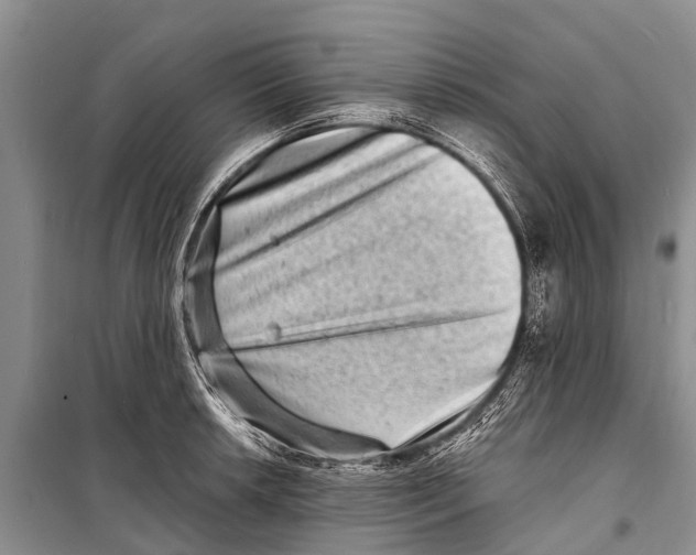 X0000098201042200805151224
