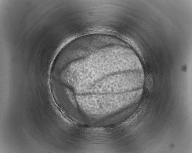 X0000098201043200805151224