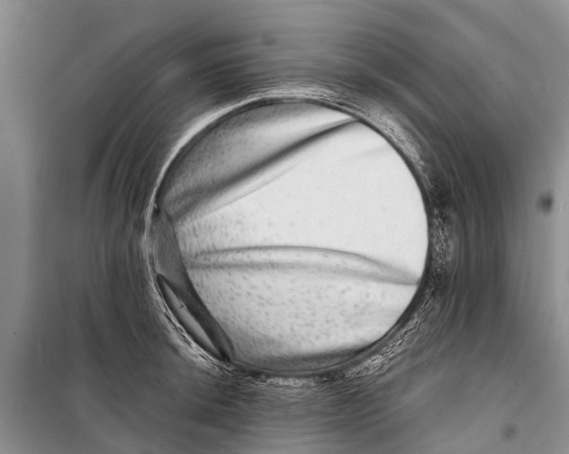 X0000098201044200805151224