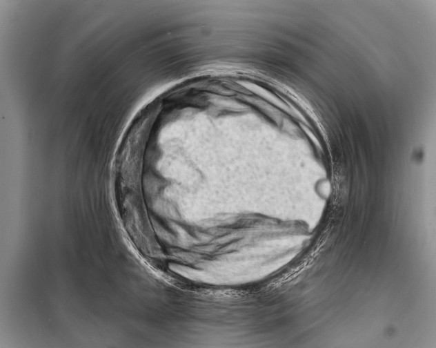 X0000098201045200805151224
