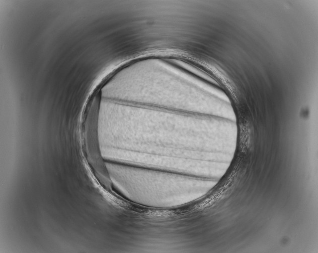 X0000098201046200805151224
