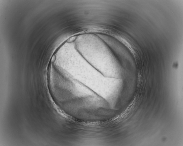X0000098201047200805151224