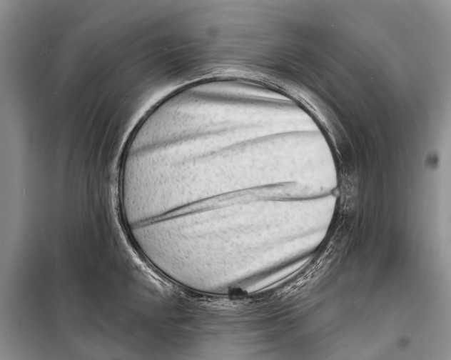 X0000098201048200805151224