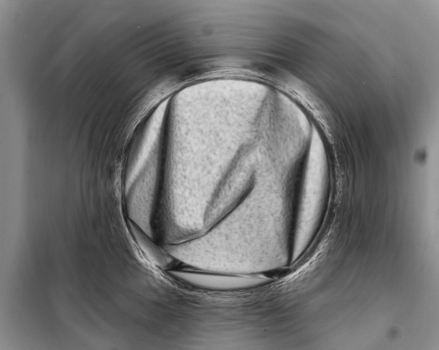 X0000098201049200805151224