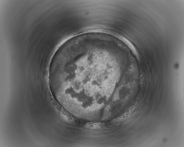 X0000098201051200805151224