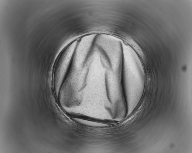 X0000098201052200805151224