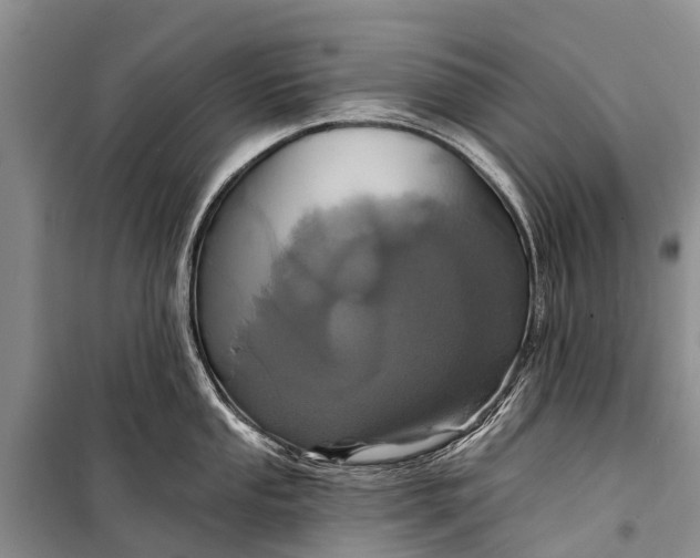 X0000098201053200805151224