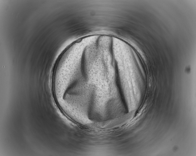 X0000098201054200805151224