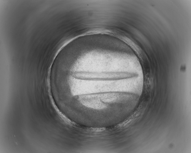 X0000098201055200805151224