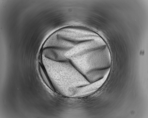 X0000098201056200805151224