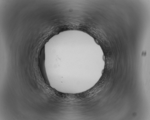 X0000098201057200805151223