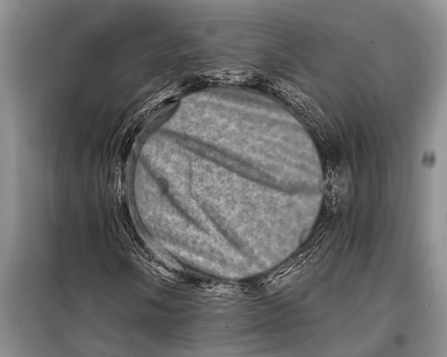X0000098201058200805151223
