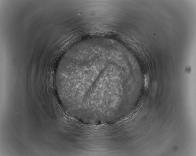 X0000098201059200805151223