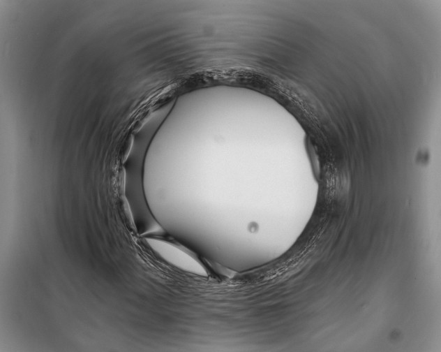 X0000098201060200805151223
