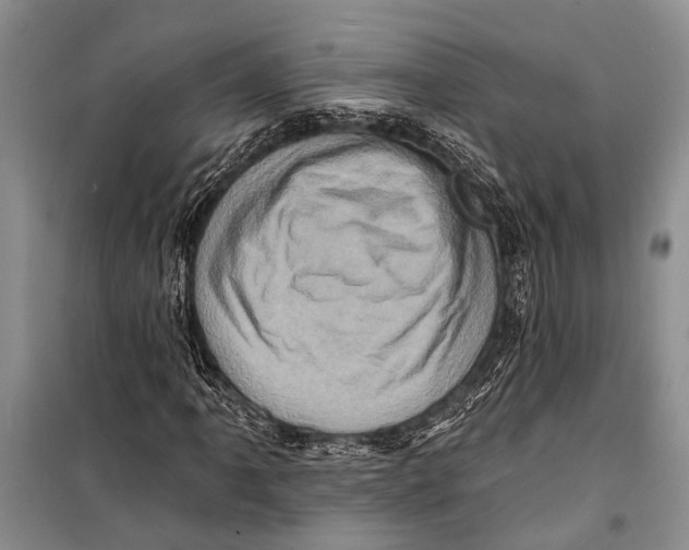 X0000098201061200805151223
