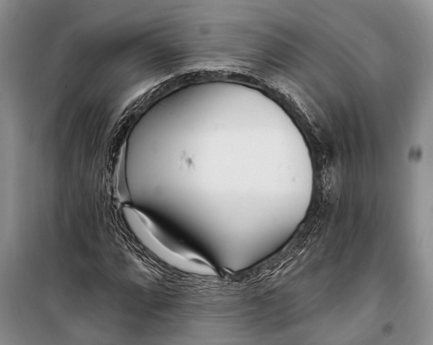 X0000098201064200805151223
