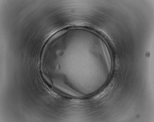 X0000098201065200805151223
