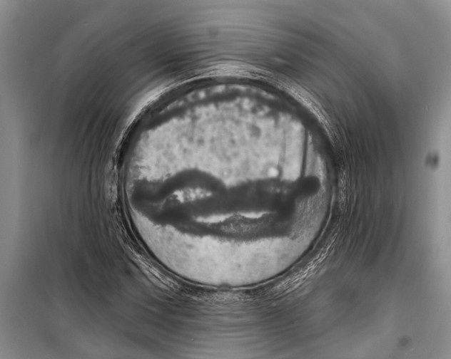 X0000098201067200805151223