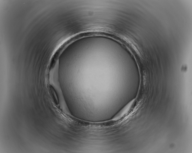 X0000098201069200805151223