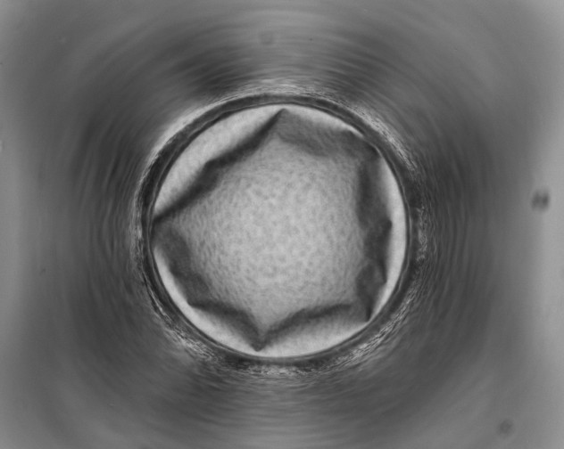 X0000098201070200805151223