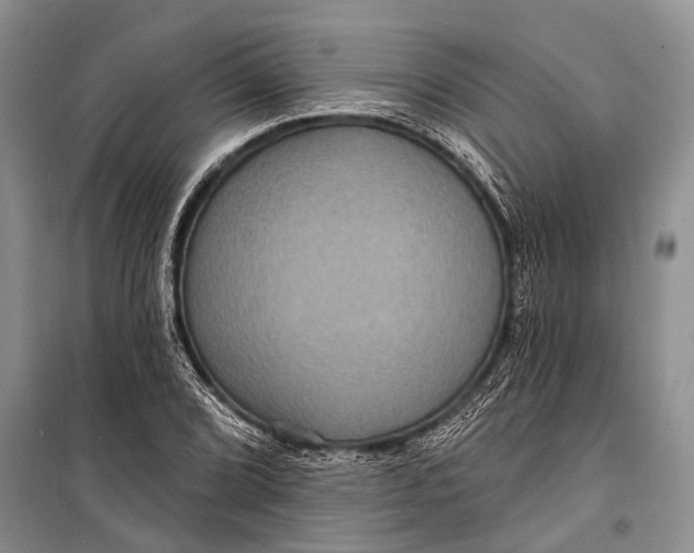 X0000098201072200805151223