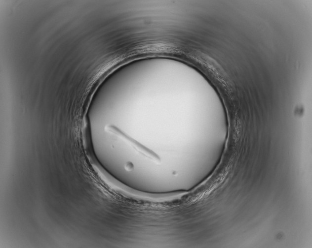 X0000098201073200805151223