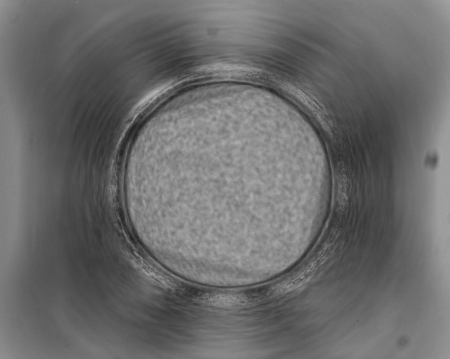 X0000098201074200805151223