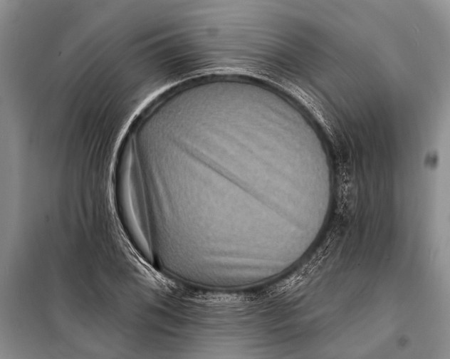 X0000098201076200805151223