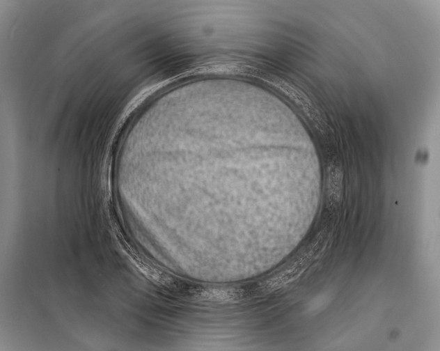 X0000098201078200805151223