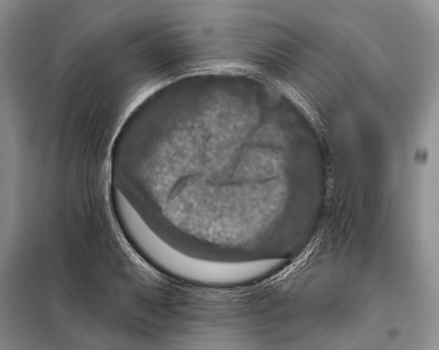 X0000098201079200805151223