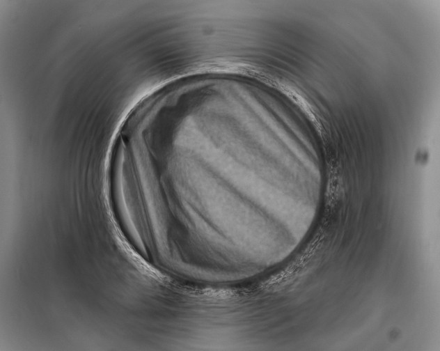 X0000098201080200805151223