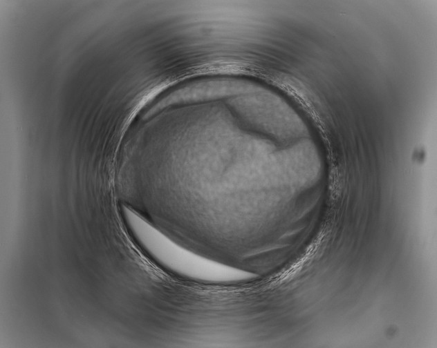 X0000098201081200805151223