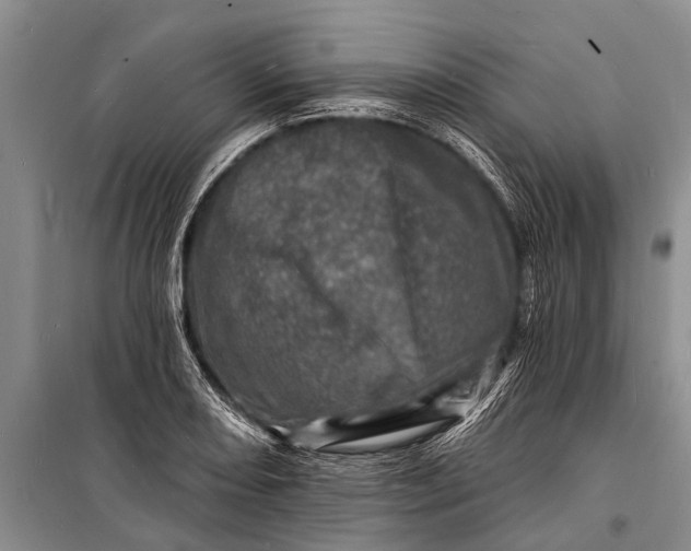 X0000098201082200805151223