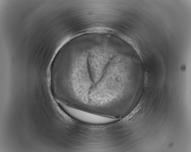 X0000098201083200805151223