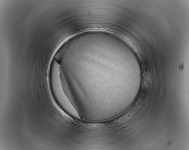 X0000098201084200805151223