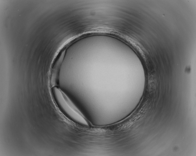 X0000098201085200805151223