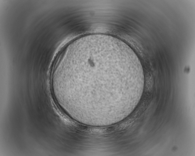 X0000098201086200805151223