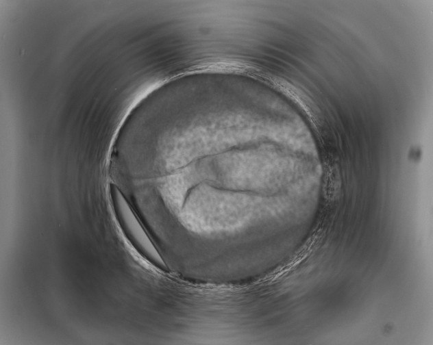 X0000098201087200805151223