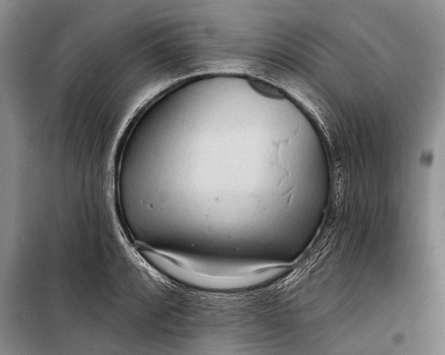 X0000098201088200805151223