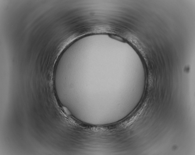 X0000098201089200805151223