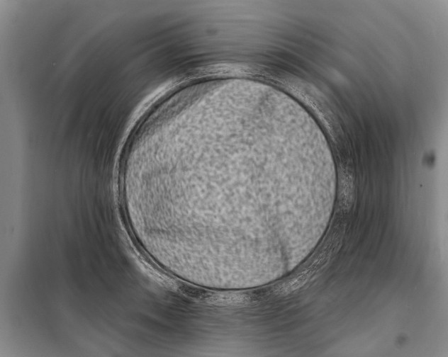 X0000098201090200805151223
