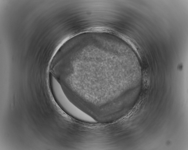 X0000098201091200805151223